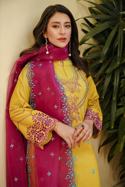 Gulnaar 2pc Suit