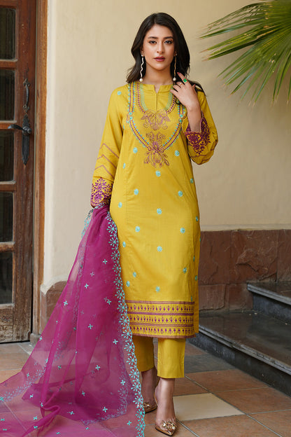 Gulnaar 2pc Suit