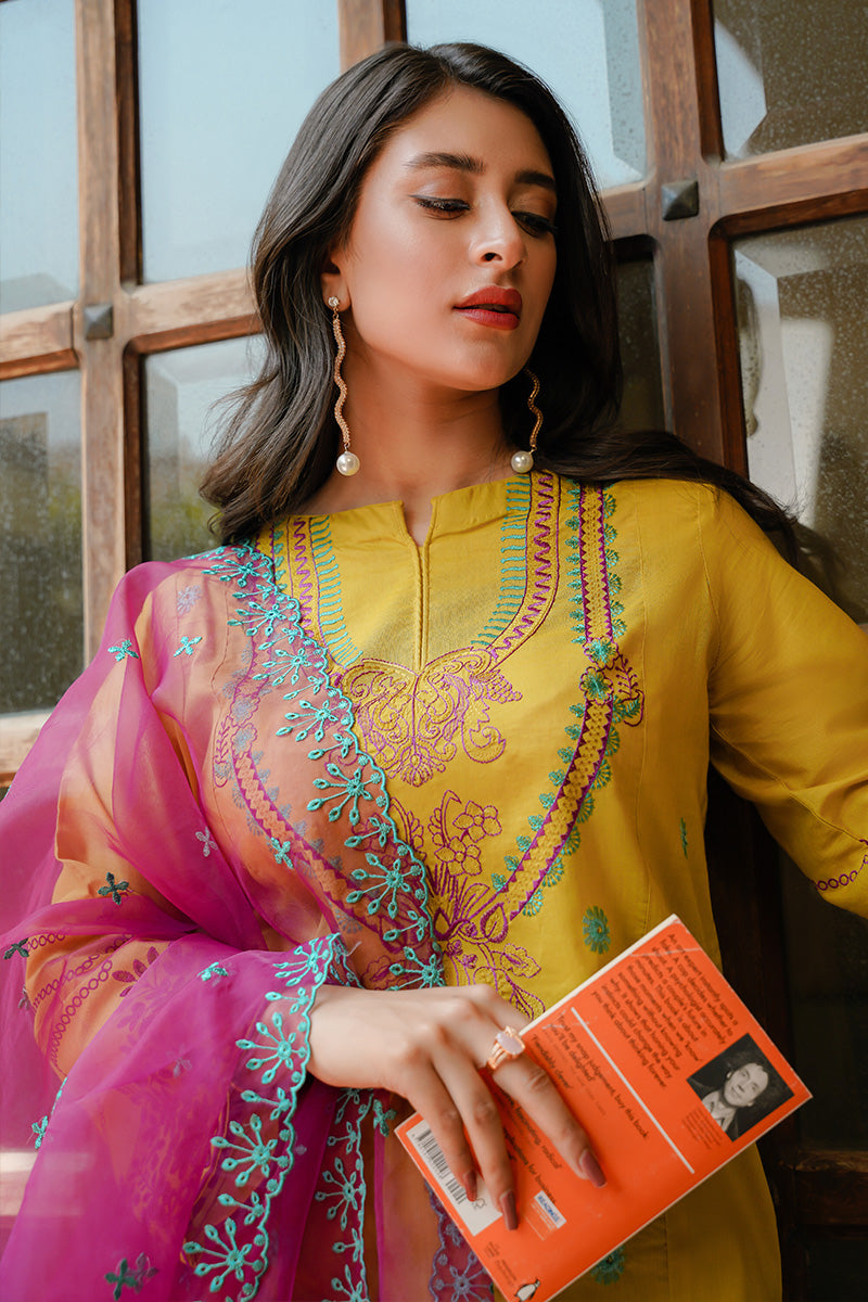 Gulnaar 2pc Suit