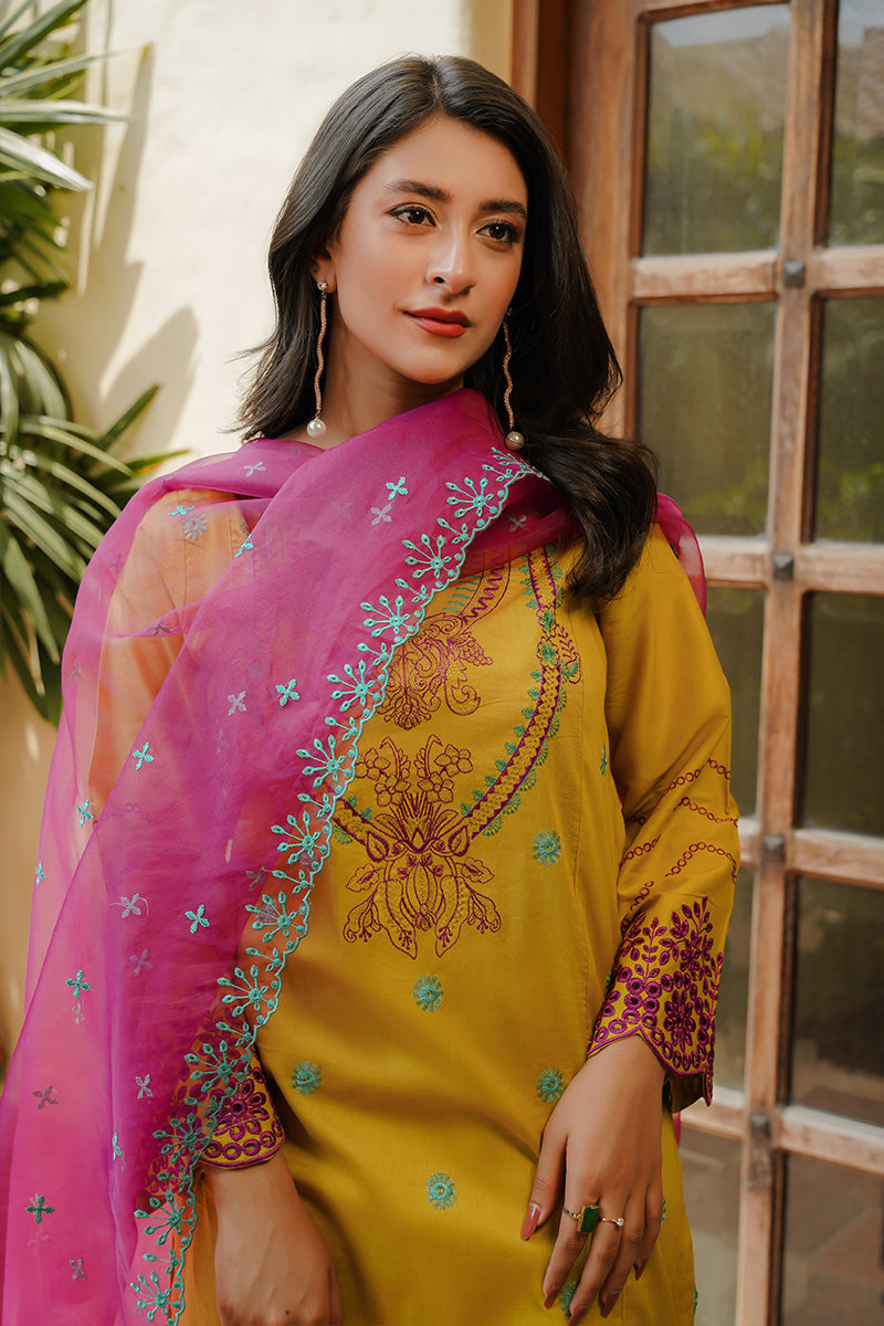 Gulnaar 2pc Suit