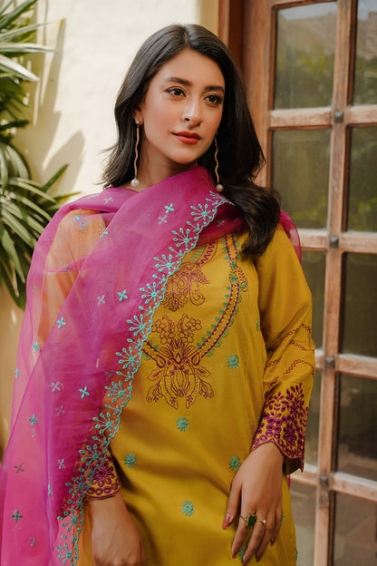 Gulnaar 2pc Suit